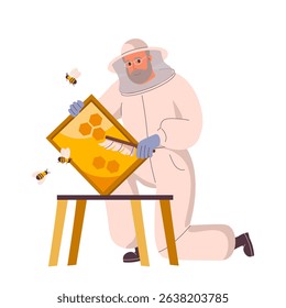 Beekeeper at apiary work with hives and honey bees. Man in beekeepers suit gather honey at apiculture farm. Character holding beehive frames, honeycomb. Honey products. Flat vector illustration.