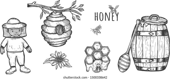 Beekeeper And Beehive On A Tree Branch. Seth Of Honey. Wooden Barrel Of Honey. Vector Graphics. Sketch. Freehand Drawing.