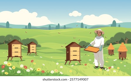 Beekeeper collects honey. Apiarist at flower meadow holds honeycombs, bees and hives, beautiful plain landscape, woman in protective clothing, organic food cartoon flat tidy vector background