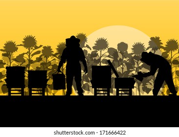 Beekeeper working in apiary vector background with sunflower field