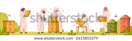 Beekeepers at apiary, work with hives and honey bees. People in beekeepers suit gather honey at apiculture farm. Men and women hold beehive frames on apiary and honeycomb. Flat vector illustration.