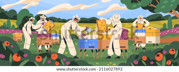 Beekeepers at apiary, work with hives and\
honey bees. Apiarists at farm with beehives and flower garden\
panorama. Apiculture workers in suits in summer. People and\
beekeeping. Flat vector\
illustration