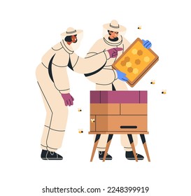 Beekeepers at beehive, holding honeycomb frame. Apiarists, keepers couple in suits at hive, watching for bees on honey comb. Beekeeping concept. Flat vector illustration isolated on white background