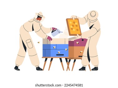 Los apicultores de colmenas, trabajan con abejas, marco de panal de miel, fumador. Apiarios uniformados en colmenas. Apiario, apicultura y apicultura. Ilustración vectorial plana aislada en fondo blanco