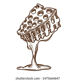 Beekeeping or apiary, honeycomb isolated sketch, apiculture and farm food vector. Natural honey production, agriculture and farming, bees breeding. Liquid organic dessert or treat, cooking ingredient