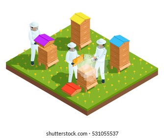 Beekeeping apiary isometric composition with farmers and bee hives vector illustration