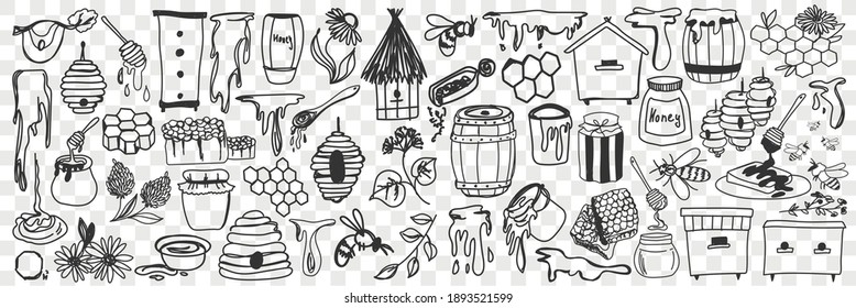 Beekeeping attributes and tools doodle set