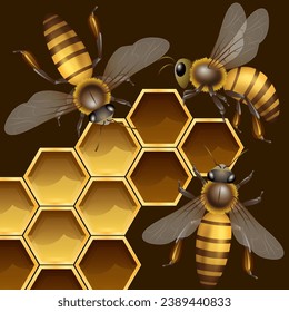 Beekeeping. Bees and honeycombs with honey. Vector illustration. Sketch for creativity.