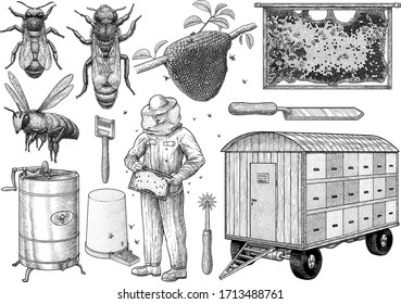 Beekeeping equipment illustration, drawing, engraving, ink, line art, vector