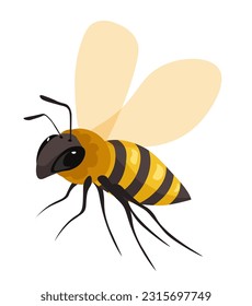 Beekeeping and growing, isolated bee insect with wings and muzzle. Cute personage from apiary or bee garden. Animal producing sweet nectar or honey, business or farming. Vector in flat style