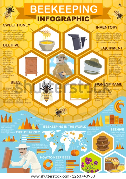 Beekeeping Honey Collection Apiary Infographic Vector Stock Vector ...