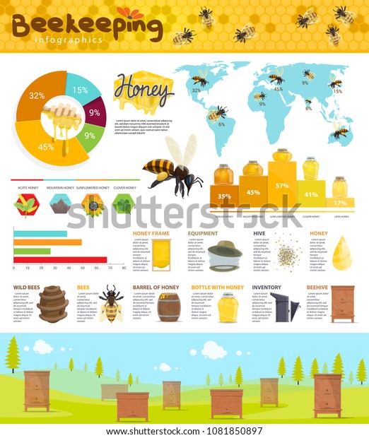 Beekeeping Infographic Honey Production Statistic World Stock Vector ...