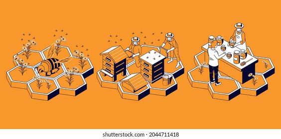 Bienenzucht - isometrische Infografiken mit drei Einzelbildern von Honigwabenschaum mit kleinen menschlichen Charakteren, Bienenstöcken und Blumen, Vektorgrafik