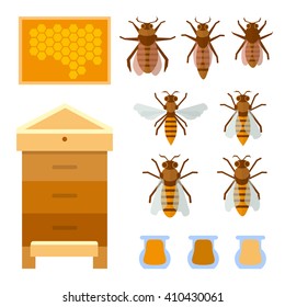 Beekeeping set. 