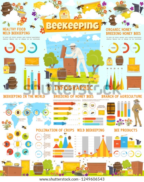 Beekeeping Vector Infographic Honey Production Statistics Stock Vector ...