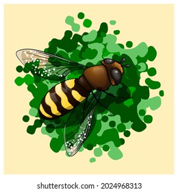 A bee-like fly on a green background. Vector illustration