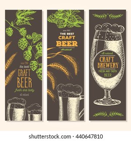 Beer Banner set. Vector illustration in sketch style. Hand drawn vertical flyers. Line drawing. 