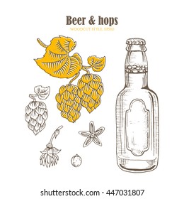 Beer bottle and branch of hops with cones in a woodcut style. Vector illustration.