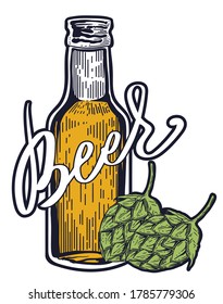 Beer bottle and hop flowers, hand drawn vector, engraving style