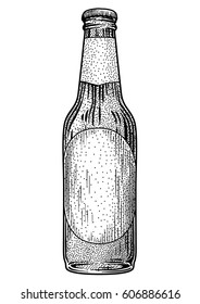 Beer bottle illustration, drawing, engraving, ink, line art, vector