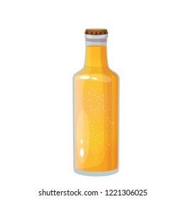 beer bottle, vector