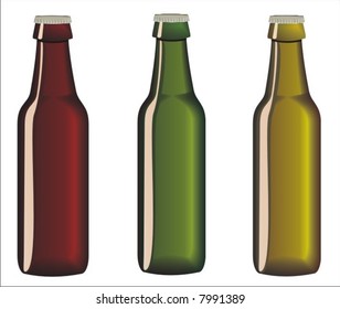 beer bottles in vector