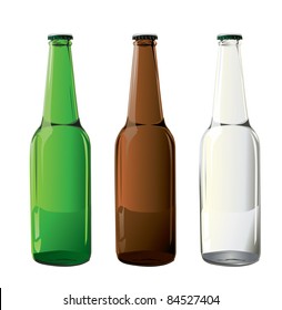 beer bottles in vector