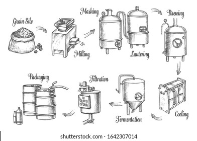 Beer brewery factory and brewing process infographics, vector sketch icons. Beer production line from barley grain milling, brewing, filtration and fermentation tuns to filtration and barrel packaging