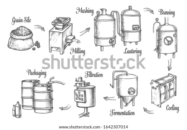 Beer brewery factory and brewing process\
infographics, vector sketch icons. Beer production line from barley\
grain milling, brewing, filtration and fermentation tuns to\
filtration and barrel\
packaging