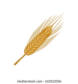 Beer and brewery icon vector illustration graphic design