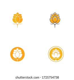 Beer craft vector illustration design