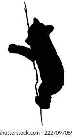 beer cub climbing on a tree branch vector silhouette icon. 