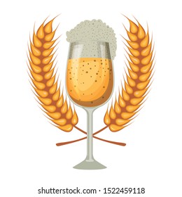 beer cup with wheat spikes oktoberfest celebration icon vector illustration design