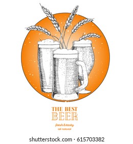 Beer design template. Menu label with barley and beer glasses. Brewery concept. Hand-drawn vector illustration.
