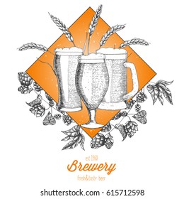 Beer design template. Menu label with barley and beer glasses. Brewery concept. Hand-drawn vector illustration.