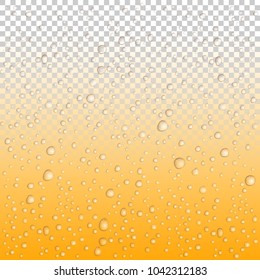 Beer drops on glass, Vector Water drops on glass. Rain drops on transparent background.