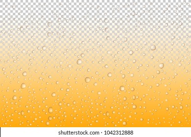 Beer drops on glass, Vector Water drops on glass. Rain drops on transparent background
