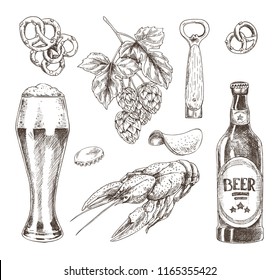 Beer food and brunch of hop graphic illustration, vector image of ale glass, bottle with round sticker, crayfish pretzel and chips snack and opener