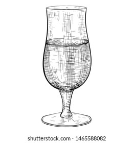 Beer glass. Hand drawn sketch. Vector illustration isolated on white background