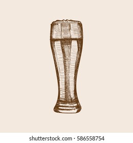 Beer glass hand drawn sketch style vector illustration