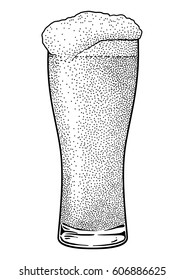 Beer glass illustration, drawing, engraving, ink, line art, vector