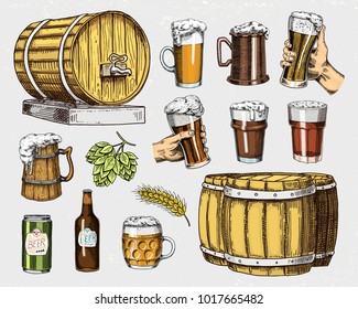 Beer glass, mug or bottle, wooden barrels. engraved in ink hand drawn in old sketch and vintage style for web, invitation to party or pub menu. design element isolated on white background.
