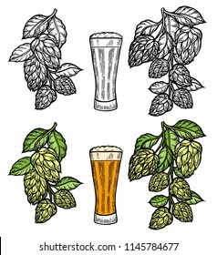 Beer glass mug with hop. Hand drawn isolated beverage object on white background. Sketch style vector illustration. Colored alcoholic drink drawing. Great for restaurant, bar, pub menu, oktoberfest