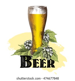 Beer glass poster for beer festival design with hops branch, leaves and cones, colorful sketch vintage style, beer glass isolated vector illustration and lettering.