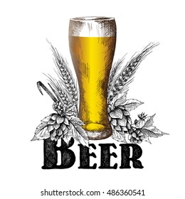 Beer glass poster for beer festival design with hops branch, leaves and cones, barley ears, black and white sketch vintage style, vector illustration and lettering.