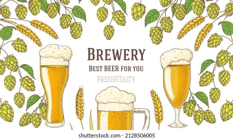 Beer glasses and hops. Brewery design template. Beer hop illustration. Hand drawn design. Beer ingredients vector illustration.