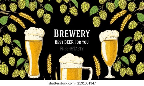 Beer glasses and hops. Brewery design template. Beer hop illustration. Hand drawn design. Beer ingredients vector illustration.