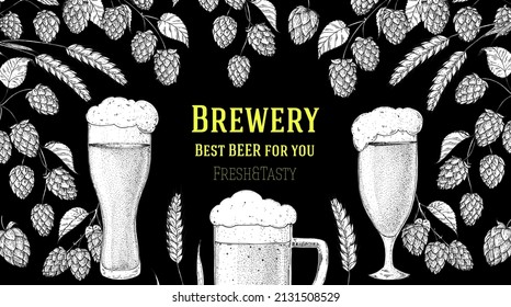 Beer glasses and hops sketch. Brewery design template. Beer hop illustration. Hand drawn sketch design. Beer ingredients vector illustration.