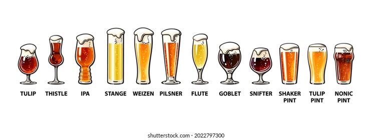 Beer glassware guide. Various types of beer glasses. Hand drawn vector illustration isolated on white background.