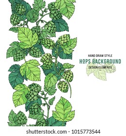 Beer hop banner design. Sketches of hop plant, border of branch with leaves in engraving style. Hops decorative border print. Beer ingredients vector illustration. Hand drawn style